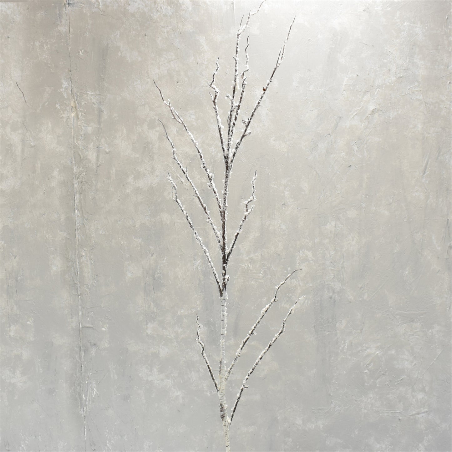 Snowed Long Birch Branch 48" | XJC22