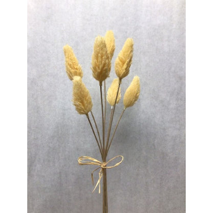 AMARANTH PICK BUNDLE X 7 -YELLOW | QSE