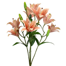 Load image into Gallery viewer, 21&quot; Tiger Lily Bush in Melon | XJE