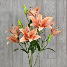 Load image into Gallery viewer, 21&quot; Tiger Lily Bush in Melon | XJE