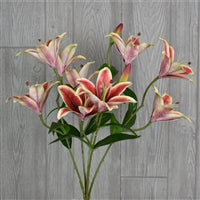21" Tiger Lily Bush in Orange/Yellow | XJE