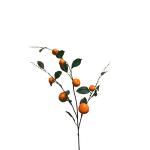 Mandarin Orange Branch 37” | XJE