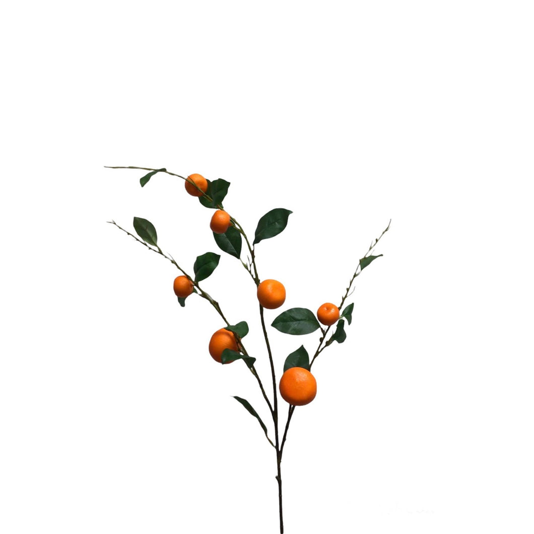 Mandarin Orange Branch 37” | XJE