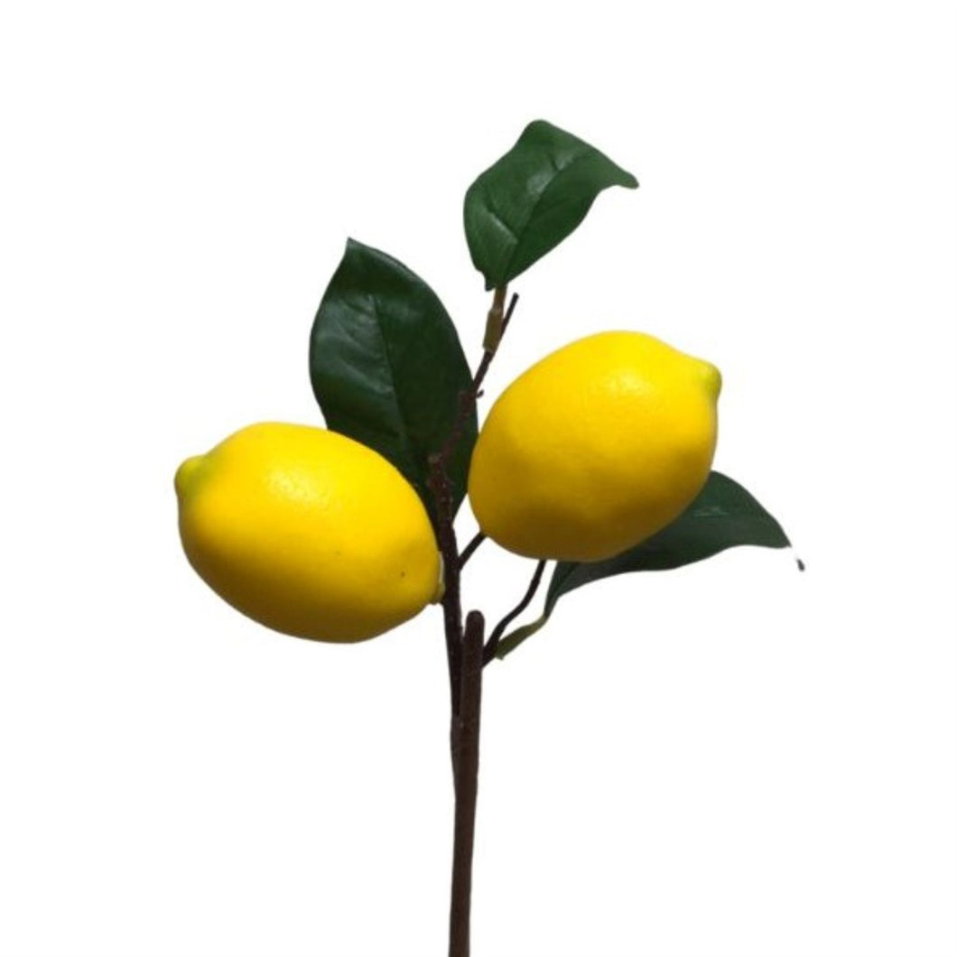 Lemon Plant Pick 12” | XJE