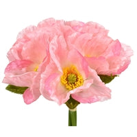 10.5" Poppy Bloom Bundle in Pink | XJE