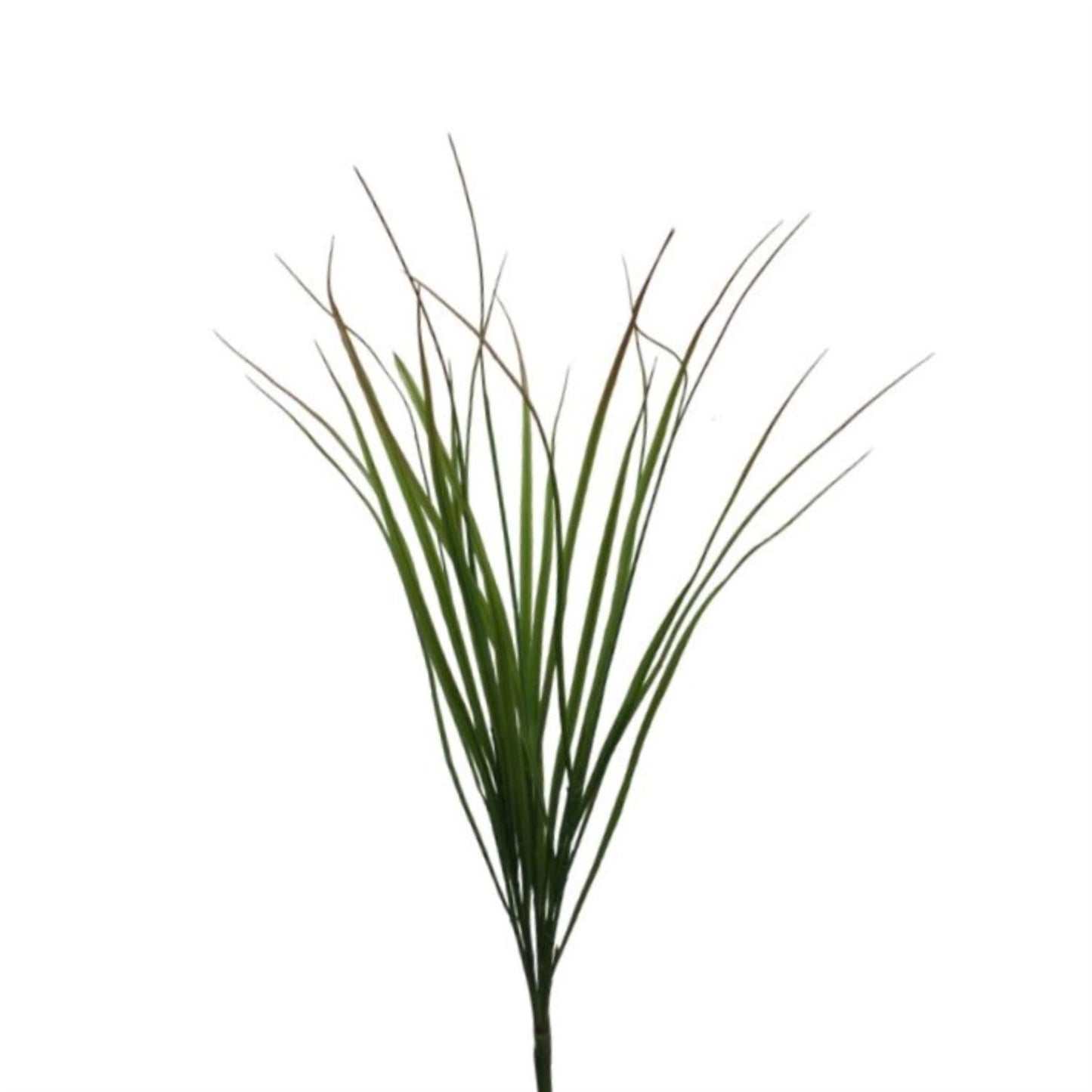 Himilayan Grass Bunch - Green/ Burgandy 32” | XJE