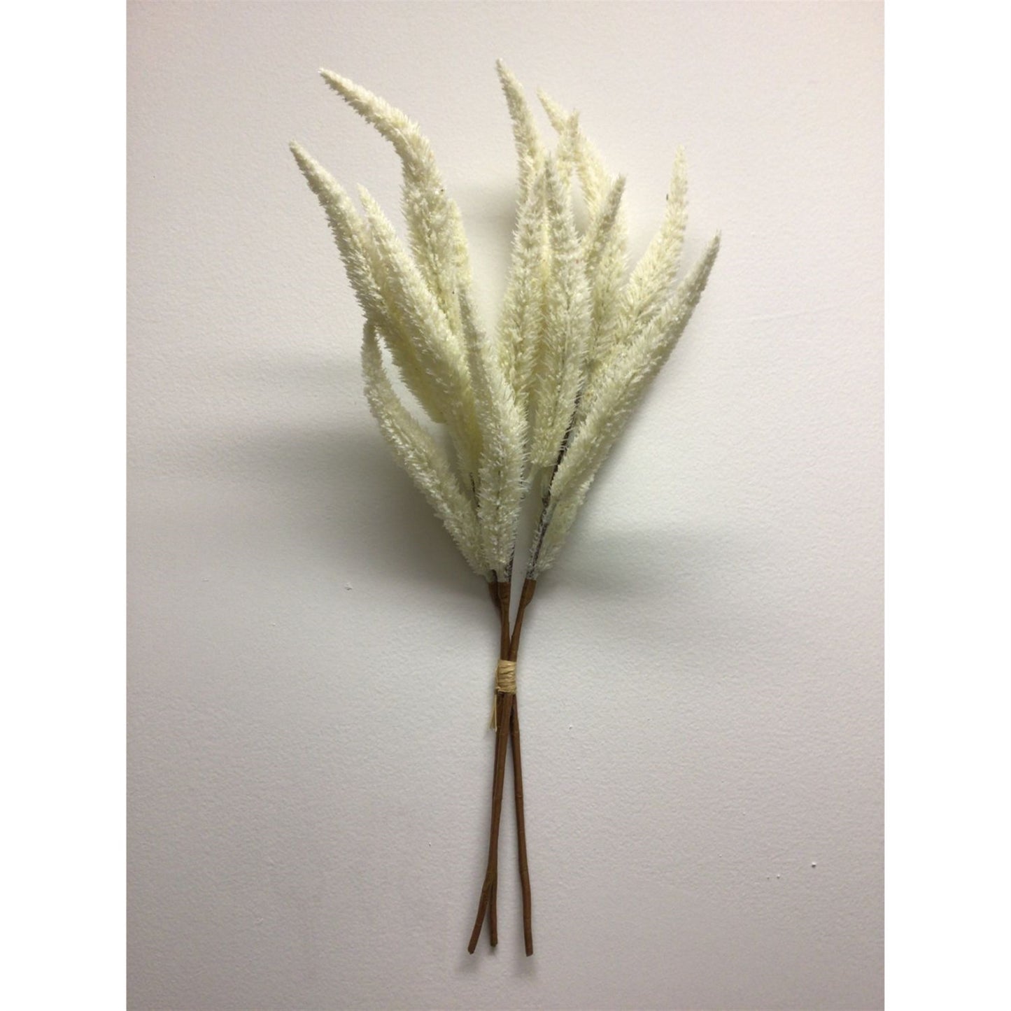 Faux Foxtail Grass  Bundle - Cream 24” | XJE
