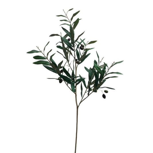 Olive Branch 40.5” | XJE