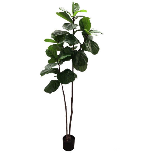 Potted Fiddle Leaf Tree 70” |XJE