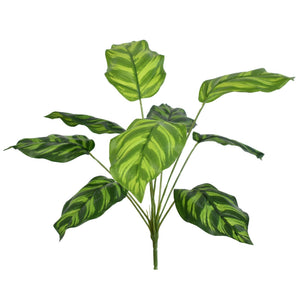 16" UV Dracaena Plant | QSE