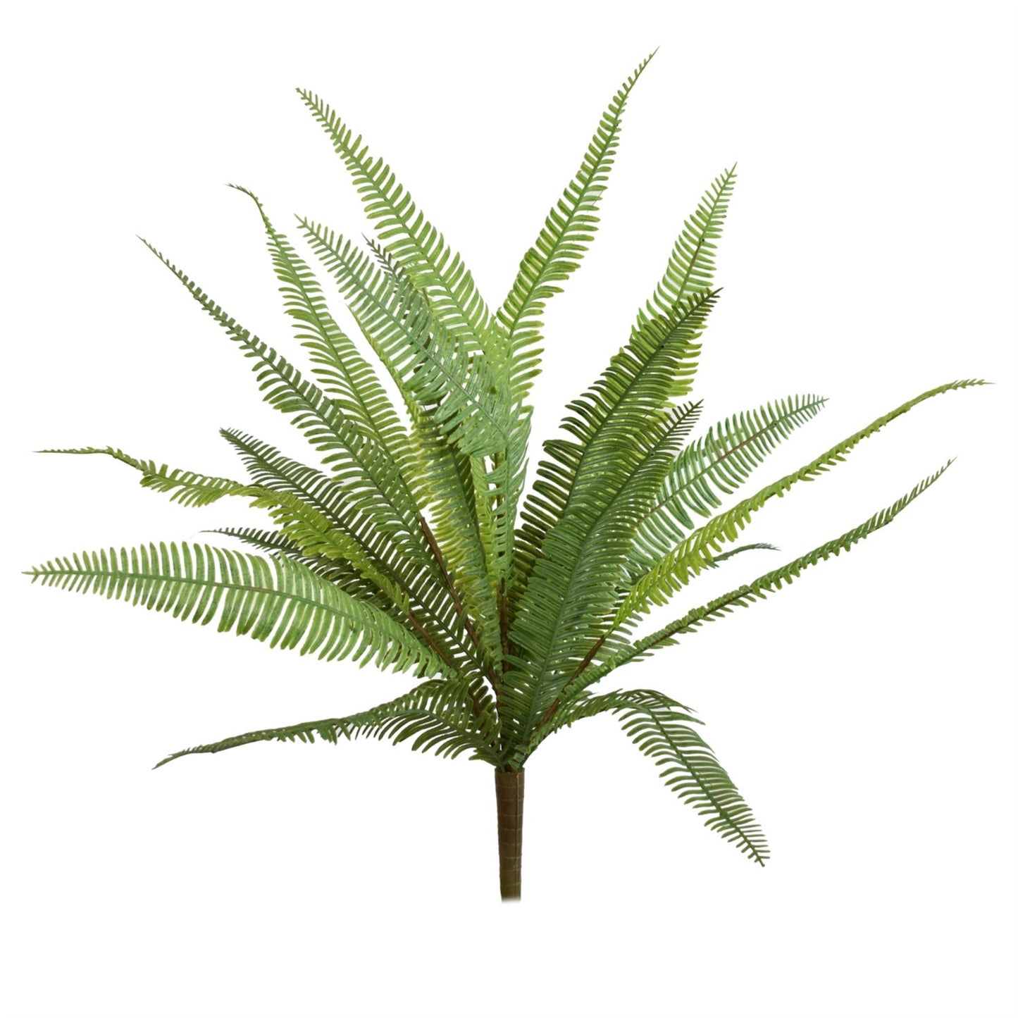 19" Natural Touch River Fern Plant | QSE