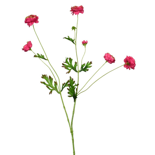 25.5" Ranunculus Pink with Lime Glitter | TA