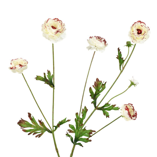 25.5" Ranunculus White with Red Glitter