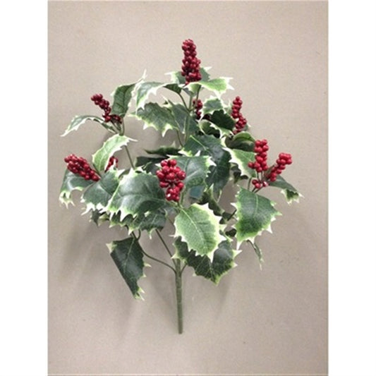 16" Holly Bush x 7 in Green/White | YL