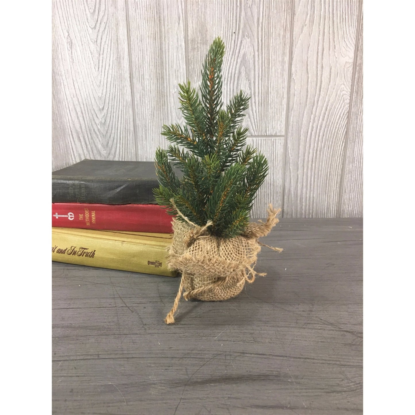 10" Mini Fir Tree | QS