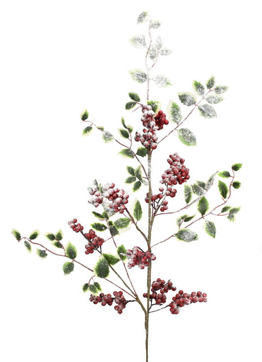 31.5" Snowed Royal Holly Spray | BF