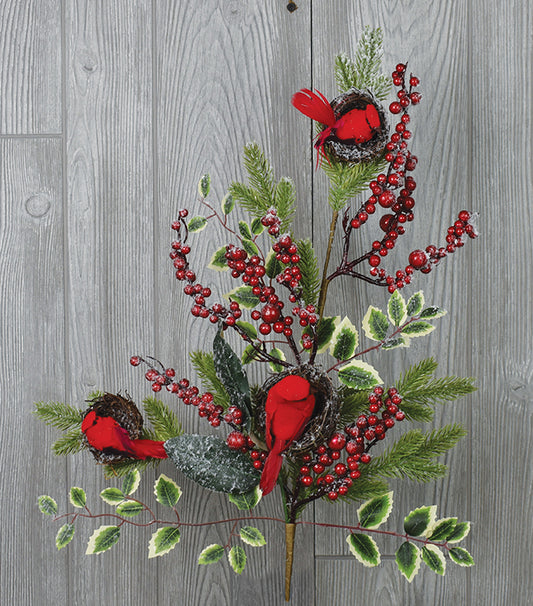 29.5" Snowed Royal Holly Cardinal Spray | BF
