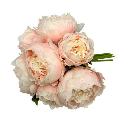 Perfect Peony Bouquet x 7 - 11” - Champagne |YSE