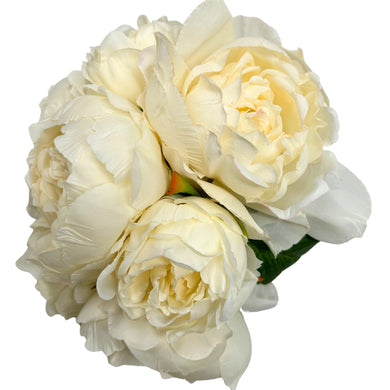 Perfect Peony Bouquet x 7 - 11” - Cream |YSE