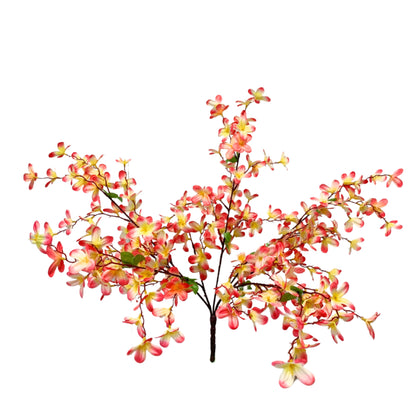 Tweedia Bush x 5 - 24” - Pink/Yellow |BYE