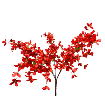 Tweedia Bush x 5 - 24” - Red |BYE