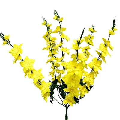 Delphinium Bush x 7 - 28” - Yellow |BYE