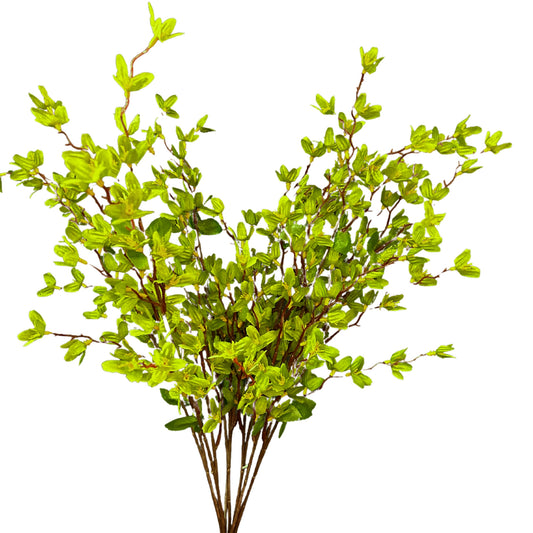 Star Blossom Bush x 7 - 24” - Green |BYE