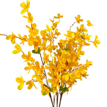 Load image into Gallery viewer, Star Blossom Bush x 7 - 24” - Yellow |BYE