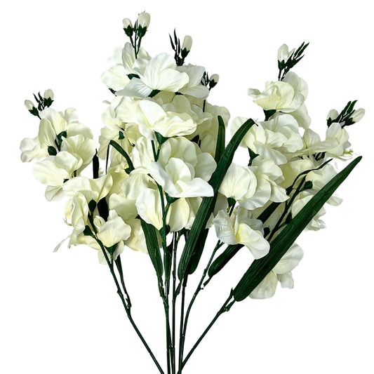 Gladiolus Bush x 7 26” - Cream |BYE