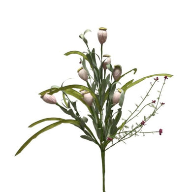 Poppy Pod Bunch 20