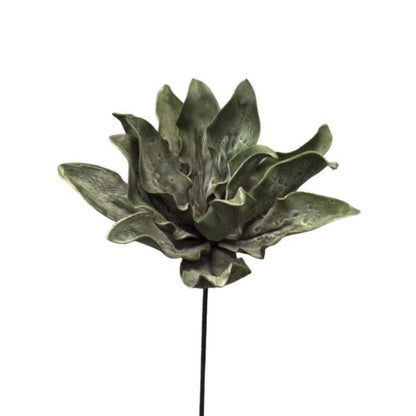 Eva Succulent Plant Stem 31" | YSE23