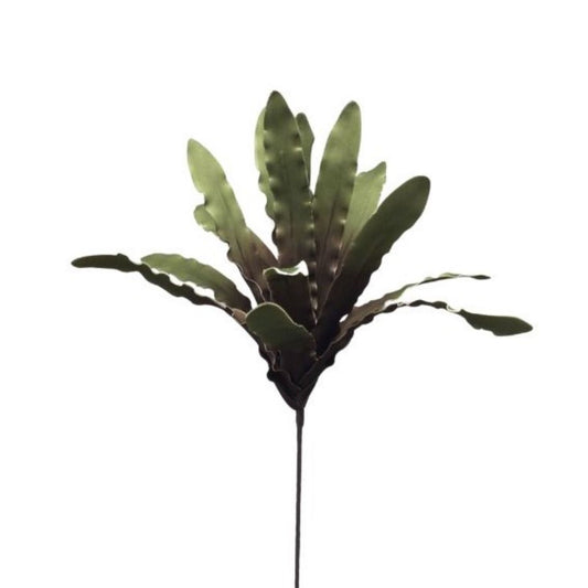 Eva Foam Bird Nest Fern 38'' | YSE23