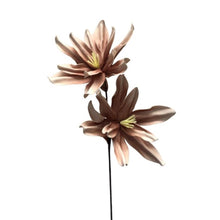 Load image into Gallery viewer, Eva Botanical Lily Spray X 2 Warm Taupe 35&#39;&#39; | YSE23