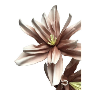 Eva Botanical Lily Spray X 2 Warm Taupe 35'' | YSE23