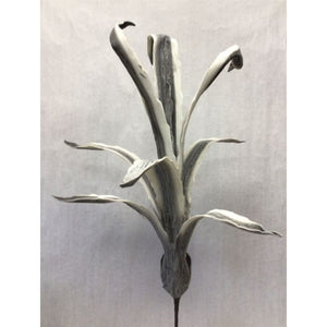 Eva Wild Yucca Plant 42'' Grey Wash | YSE23