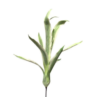 Eva Wild Yucca Plant 42'' Lt. Green | YSE23