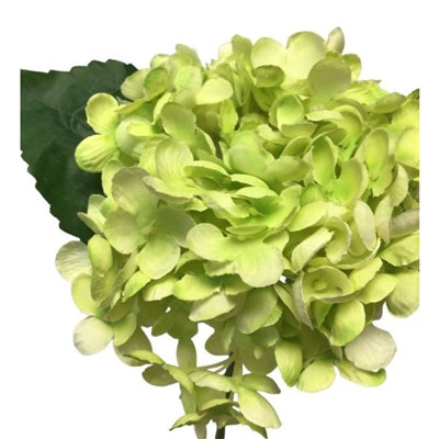 Hydrangea Pick Green 13" Dia 6.25" | YSE23