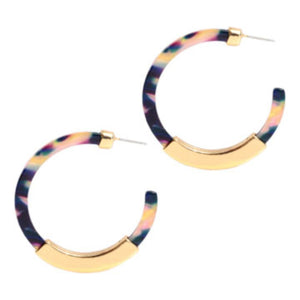 Kathryn Acrylic Acetate Earrings in Multi-Color