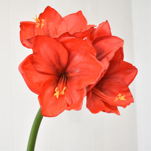 3D Fabric Coating Amaryllis Spray 27" in Red | LC