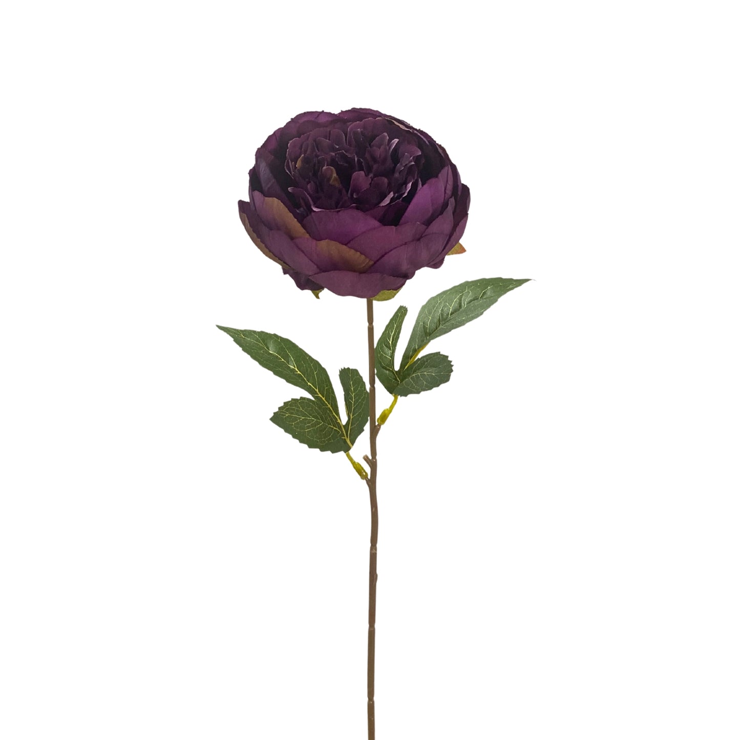 Garden Peony Stem 17.5” - Purple  | YS