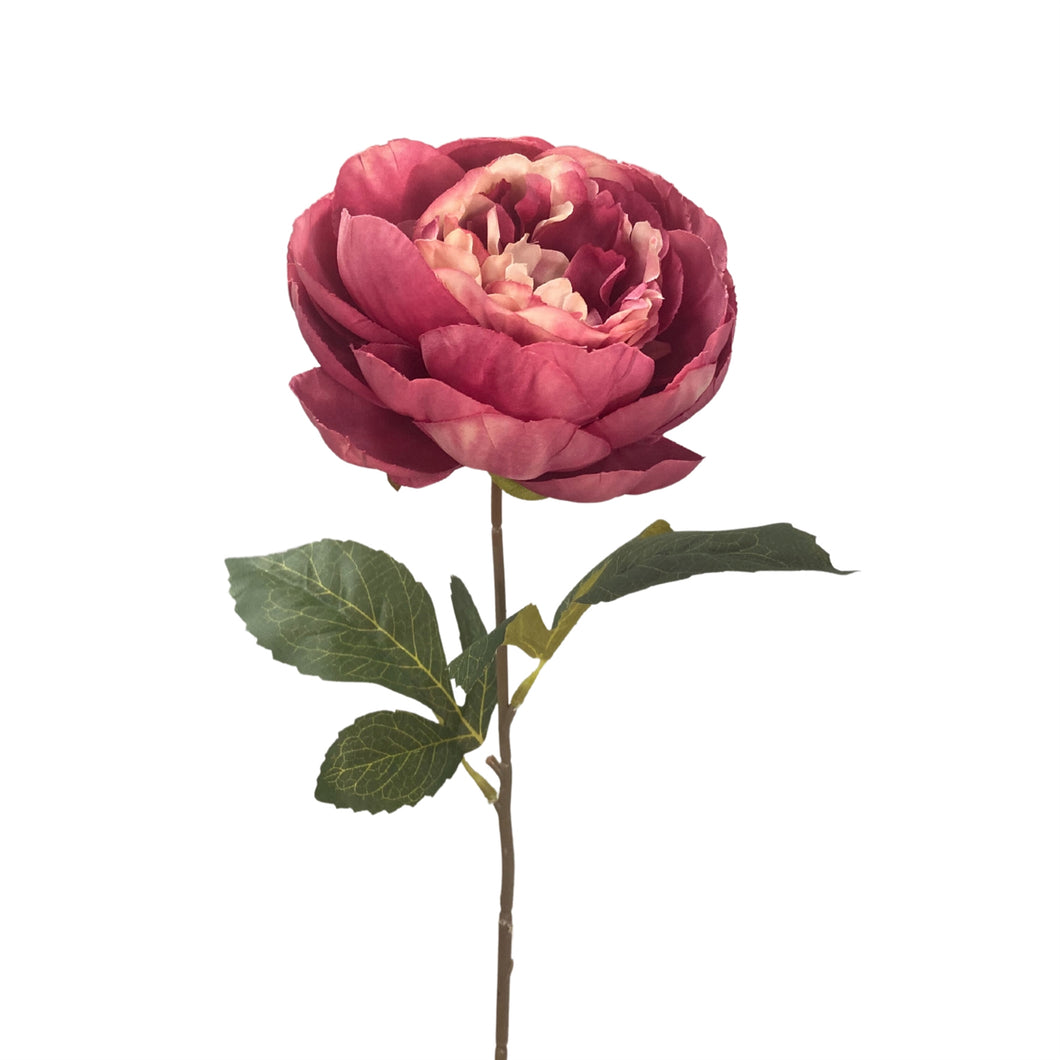 Garden Peony Stem 17.5” - Rose  | YS