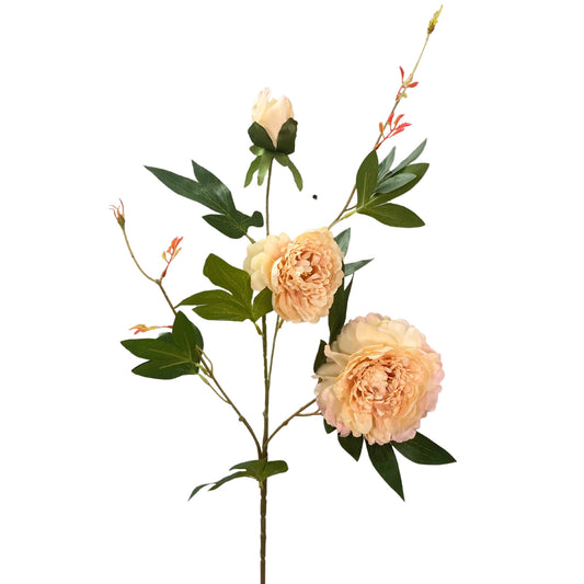 Wild Peony Spray 35” - Cream/Peach  | YS