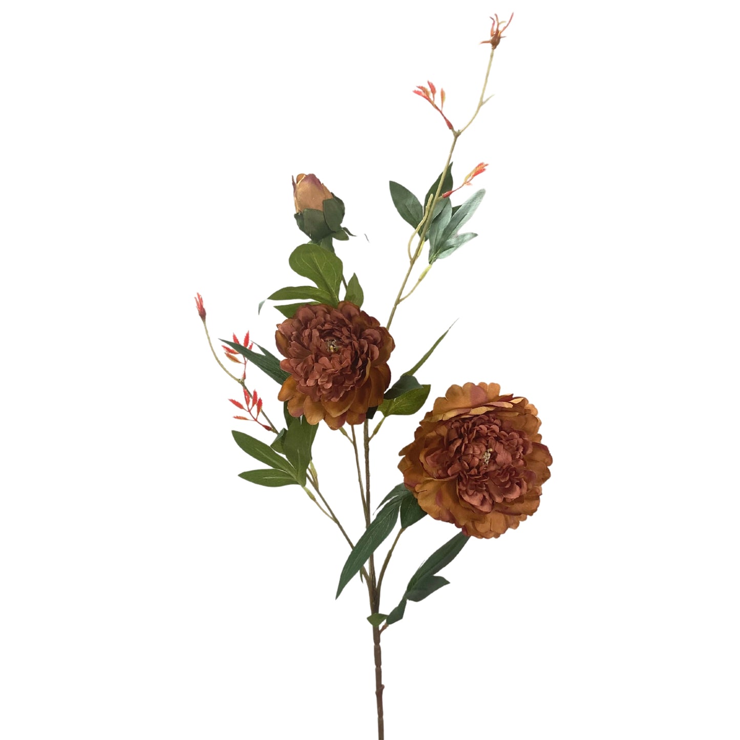 Wild Peony Spray 35” - Rust  | YS