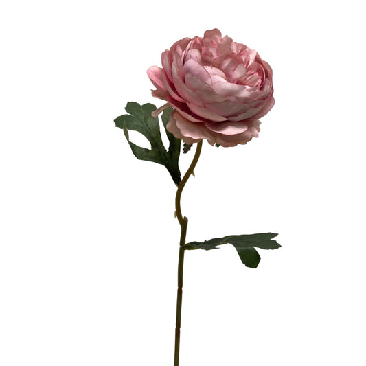 Peony Pick 14.5” - RS Red  | YS