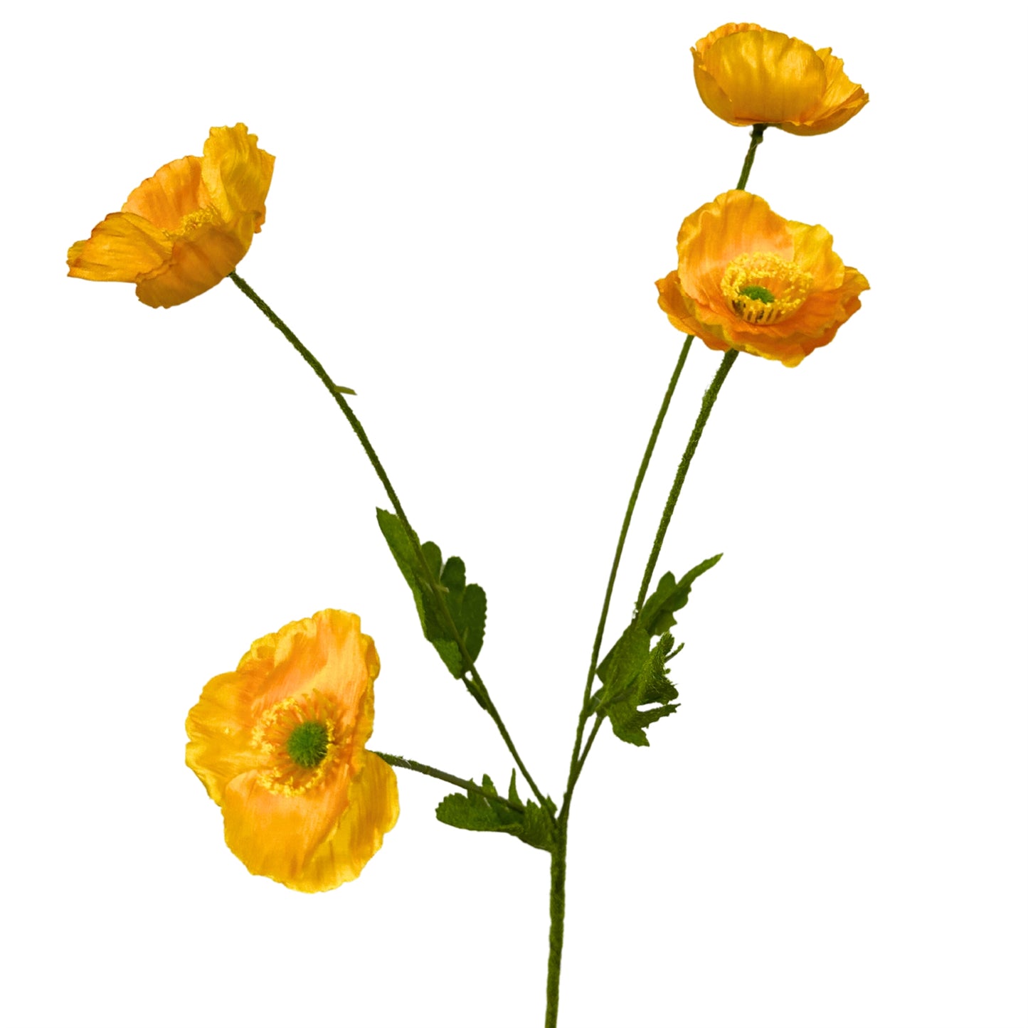 Flowering Fields Mini Poppy Spray - Dk. Yellow - 23.5” |YSE