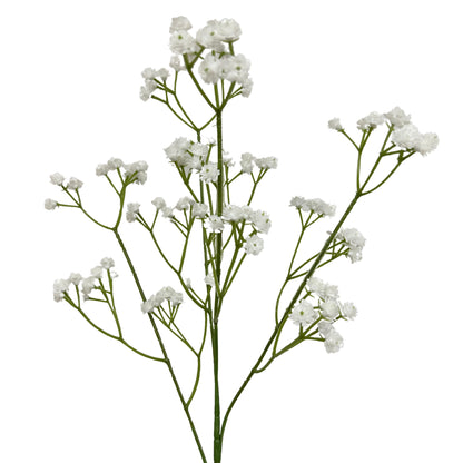 Baby's Breath Stem - 25” White |YSE