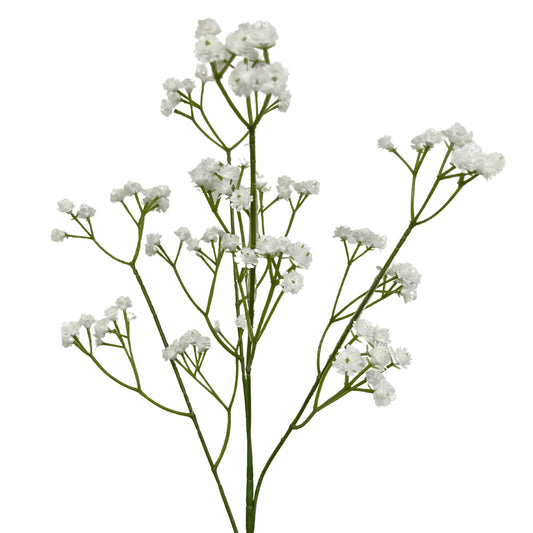Baby's Breath Stem - 25” White |YSE