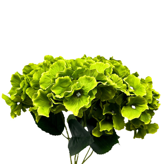 Cypress Garden Hydrangea Bush x 5 - 19” -Lime |YSE