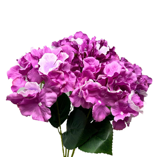 Cypress Garden Hydrangea Bush x 5 - 19” -Orchid| YSE