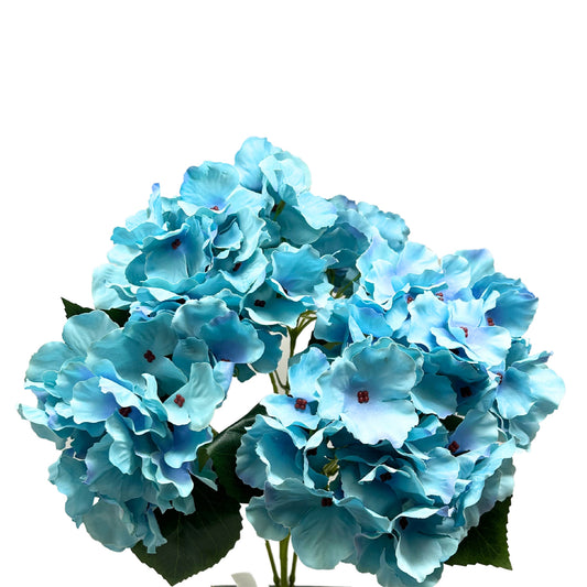 Cypress Garden Hydrangea Bush x 5 -Teal |YSE